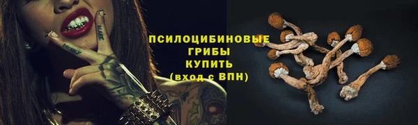 стаф Алзамай