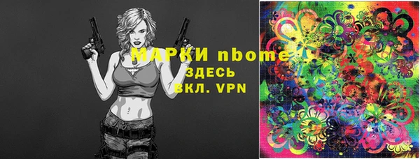 стаф Алзамай