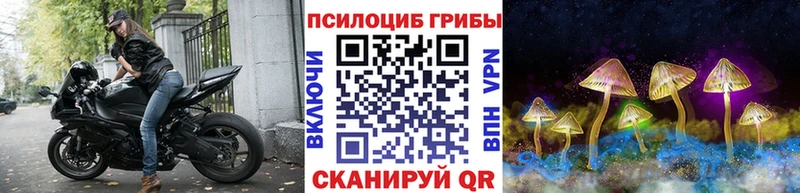 Псилоцибиновые грибы мицелий  купить наркотик  Карачаевск 