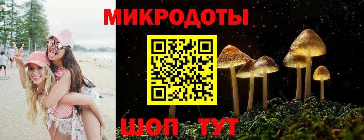 Карачаевск  как найти закладки  Вход с VPN  Псилоцибиновые грибы прущие грибы 